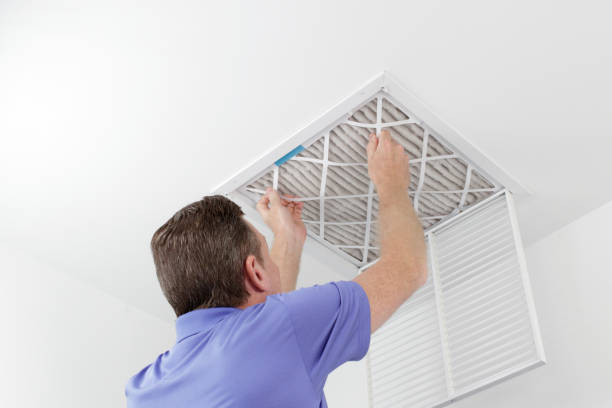 Best Air Duct Sanitizing Services  in Ruston, LA